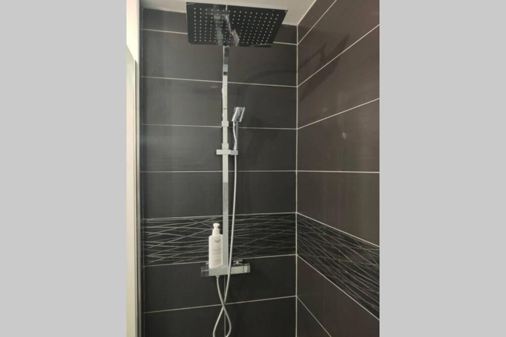 Logement Entier+ Jardin Prive Et Parking 2Places Rouen Ngoại thất bức ảnh